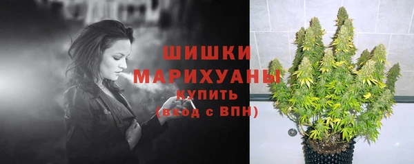 молекула духа Верея