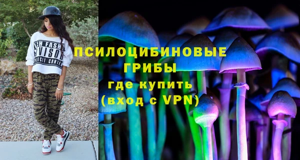 а пвп мука Бородино
