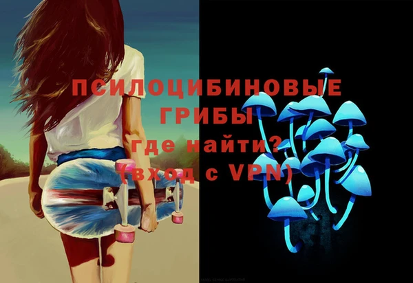 а пвп мука Бородино